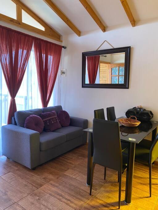 Vientos Del Puclaro Apartment *